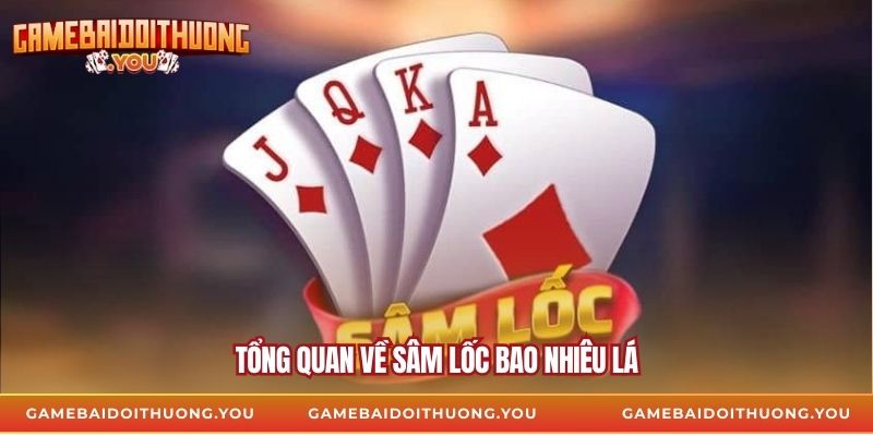 Tổng quan về sâm lốc bao nhiêu lá